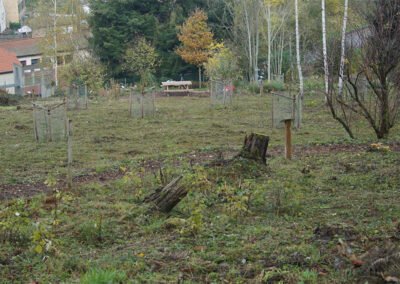 Travaux sur le sentier botanique de romarin