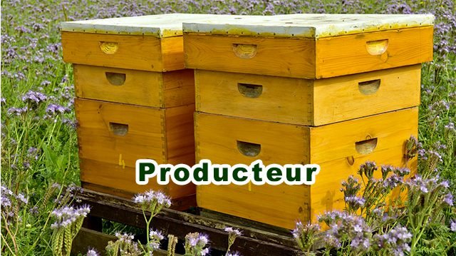19-producteurs