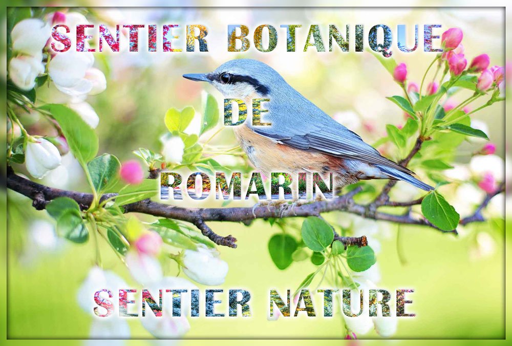 Sentier Nature