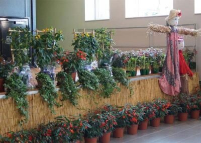 Fête du Sentier Botanique 2017