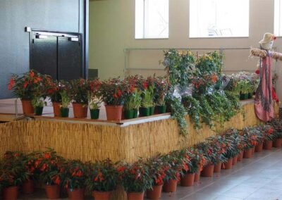 Fête du Sentier Botanique 2017