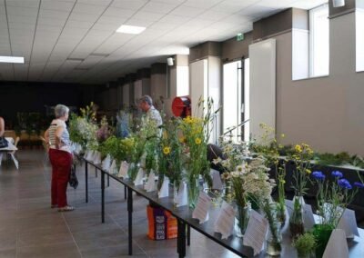 Fête du Sentier Botanique 2017