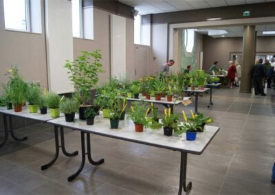 la Fête du Sentier Botanique 2018