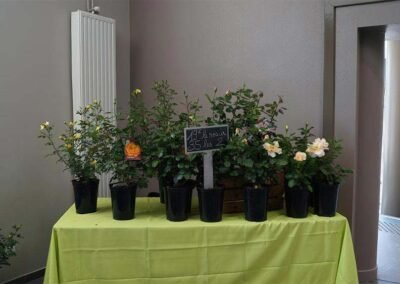 Fête du Sentier Botanique 2017