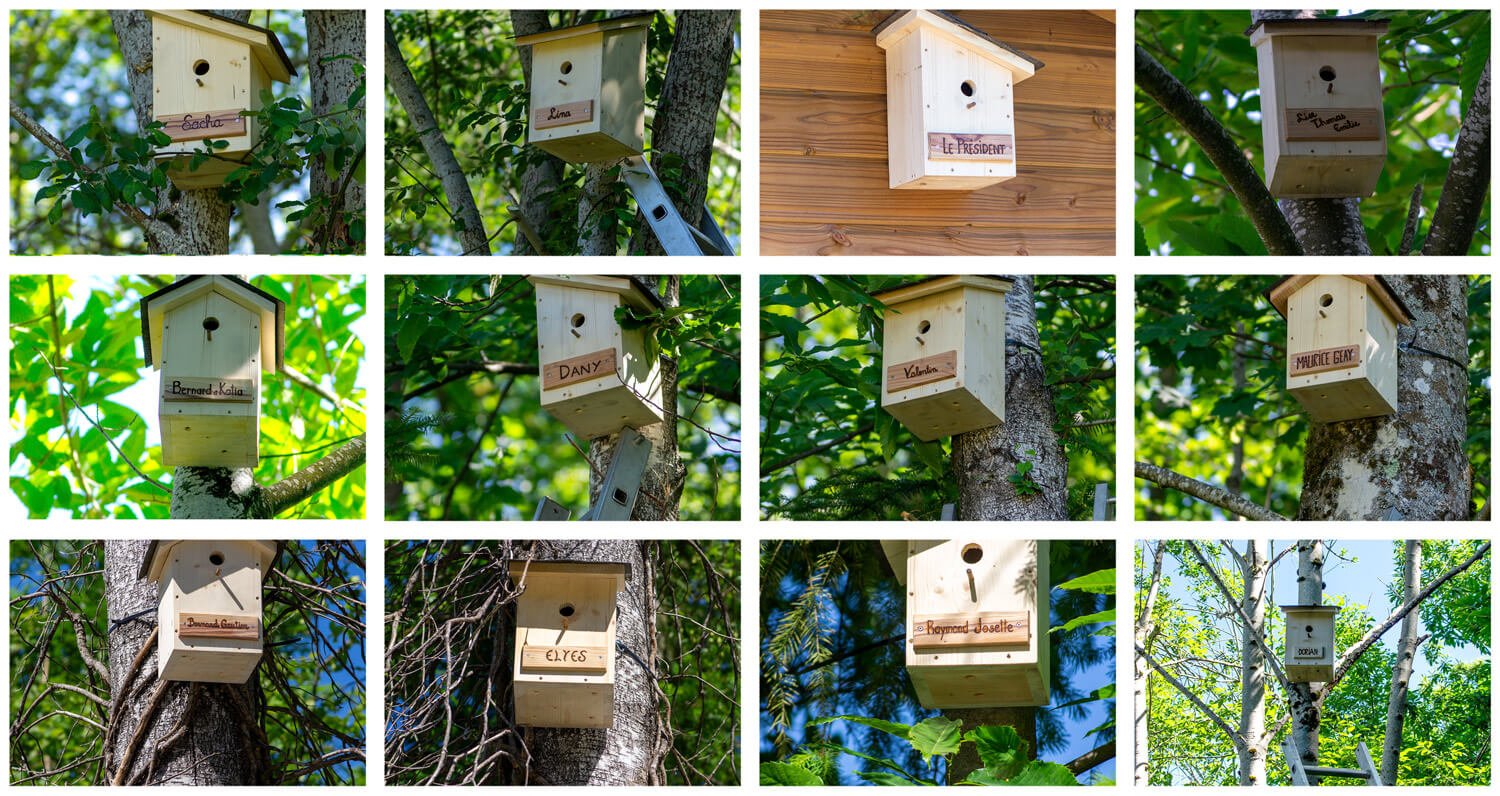 Les nichoirs