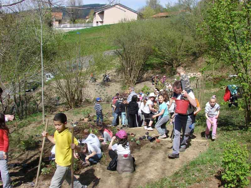 Actions Pédagogiques Actions Pédagogiques