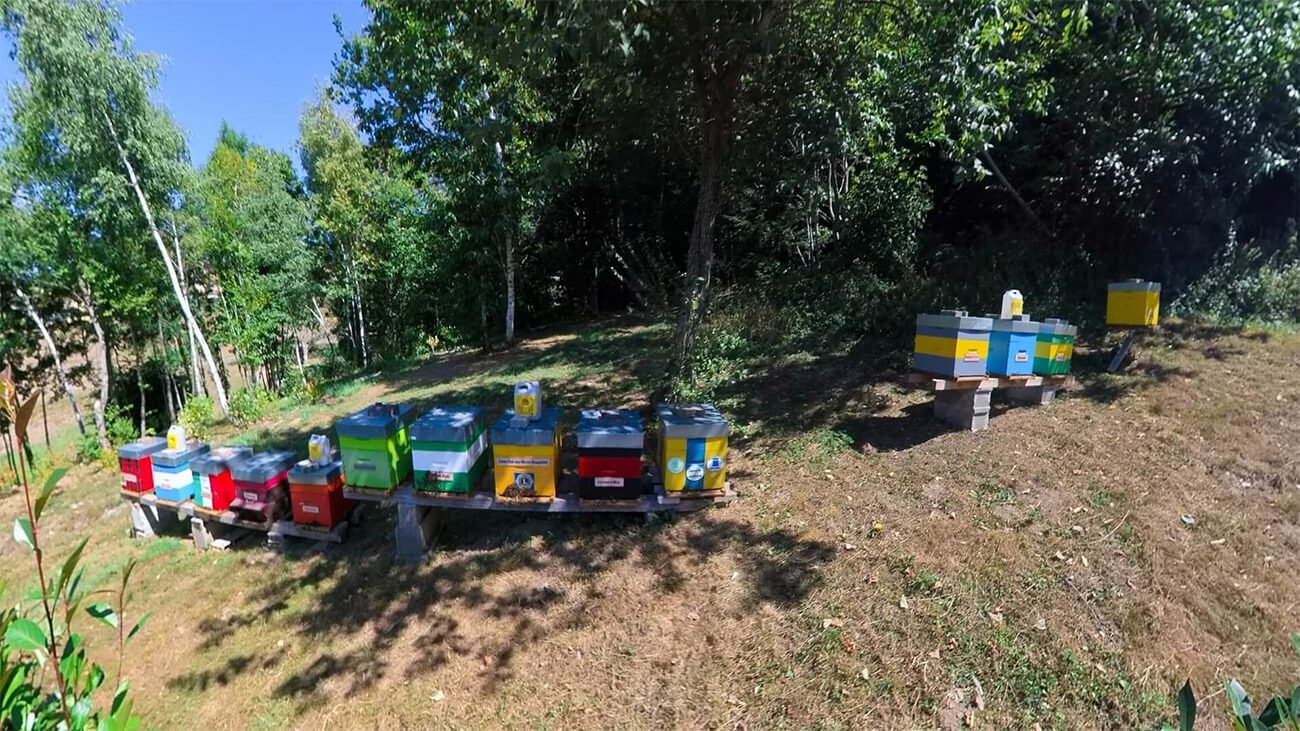 Les Ruches du Sentier Botanique