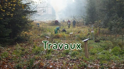 Travaux