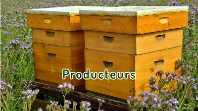 Producteurs