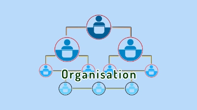 Organisation