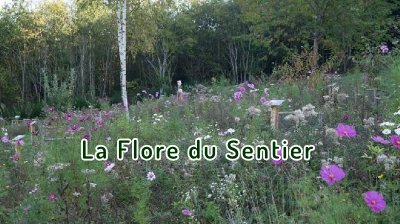 La Flore du Sentier