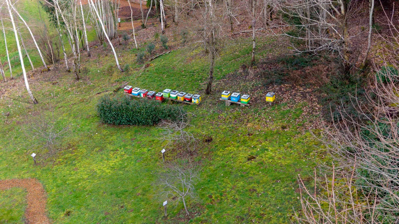 Les Ruches du Sentier Botanique Les Ruches du Sentier Botanique