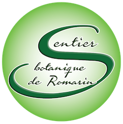 Logo Sentier Logo Sentier