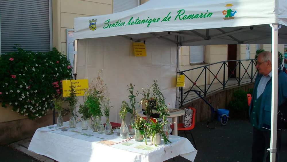 RdV animation sur le marché de Cours
